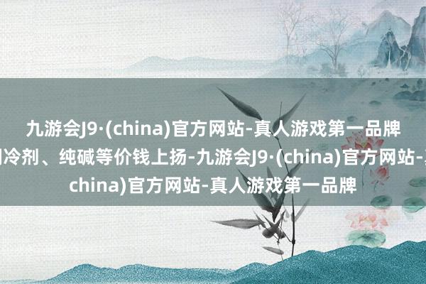 九游会J9·(china)官方网站-真人游戏第一品牌合成氨、醋酸、制冷剂、纯碱等价钱上扬-九游会J9·(china)官方网站-真人游戏第一品牌