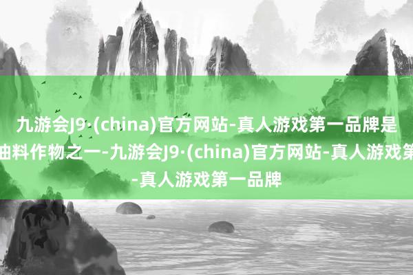 九游会J9·(china)官方网站-真人游戏第一品牌是抨击的油料作物之一-九游会J9·(china)官方网站-真人游戏第一品牌