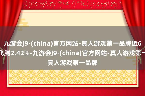 九游会J9·(china)官方网站-真人游戏第一品牌近6个月飞腾2.42%-九游会J9·(china)官方网站-真人游戏第一品牌