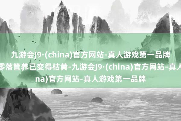 九游会J9·(china)官方网站-真人游戏第一品牌周围草坪由于零落管养已变得枯黄-九游会J9·(china)官方网站-真人游戏第一品牌