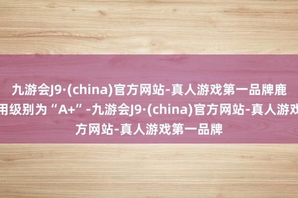 九游会J9·(china)官方网站-真人游戏第一品牌鹿山转债信用级别为“A+”-九游会J9·(china)官方网站-真人游戏第一品牌