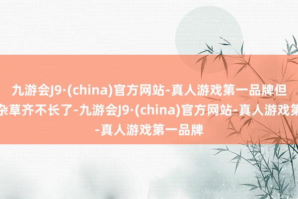 九游会J9·(china)官方网站-真人游戏第一品牌但如果连杂草齐不长了-九游会J9·(china)官方网站-真人游戏第一品牌