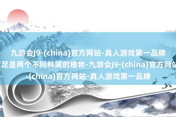 九游会J9·(china)官方网站-真人游戏第一品牌蒲公英和紫花地丁富足是两个不同科属的植物-九游会J9·(china)官方网站-真人游戏第一品牌