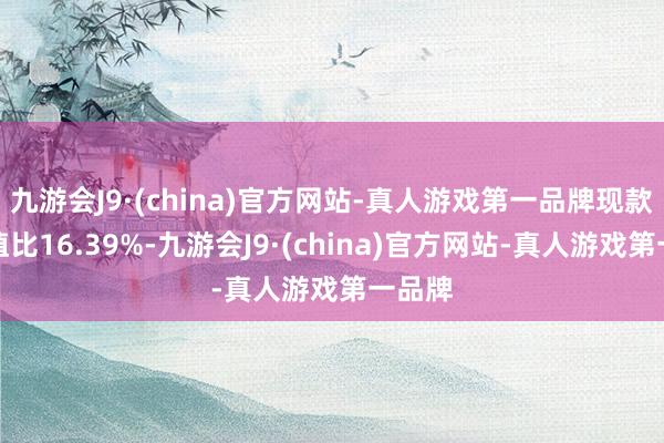 九游会J9·(china)官方网站-真人游戏第一品牌现款占净值比16.39%-九游会J9·(china)官方网站-真人游戏第一品牌