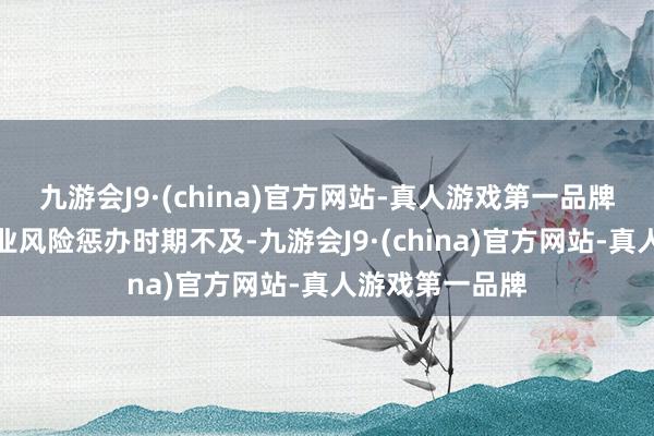 九游会J9·(china)官方网站-真人游戏第一品牌针对中小微企业风险惩办时期不及-九游会J9·(china)官方网站-真人游戏第一品牌