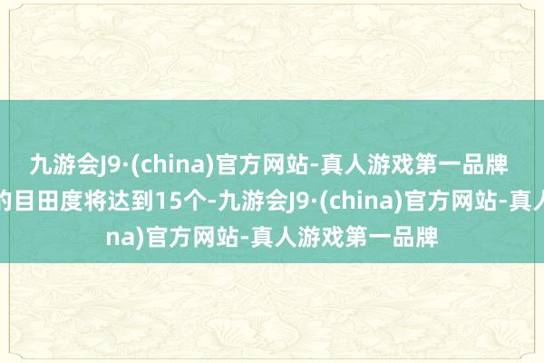 九游会J9·(china)官方网站-真人游戏第一品牌 第三代智谋手的目田度将达到15个-九游会J9·(china)官方网站-真人游戏第一品牌