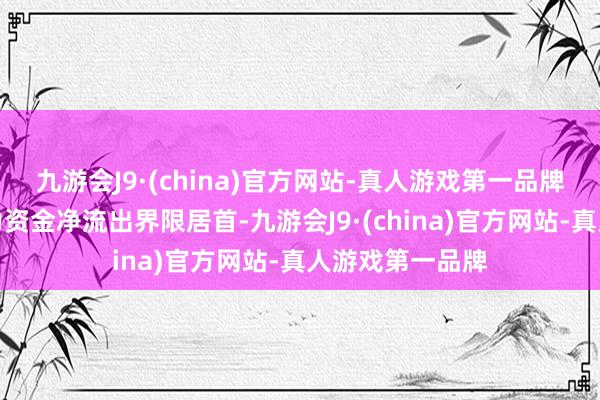 九游会J9·(china)官方网站-真人游戏第一品牌盘算机行业主力资金净流出界限居首-九游会J9·(china)官方网站-真人游戏第一品牌